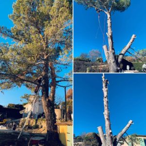Elagage-Grasse-06130