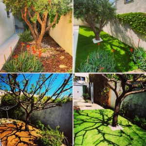 Entreprise GARDEN ELAGUE Grasse - Tony PORTELLI Elagueur Abattage Arbres Palmiers Oliviers Jardinier Paysagiste Aménagement à Grasse 06130 Evacue tous les déchets. Camion et broyeur Disponible.