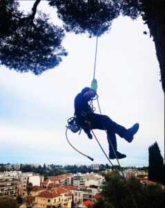 Entreprise GARDEN ELAGUE Grasse - Tony PORTELLI Elagueur Abattage Arbres Palmiers Oliviers Jardinier Paysagiste Aménagement à Grasse 06130 Evacue tous les déchets. Camion et broyeur Disponible.