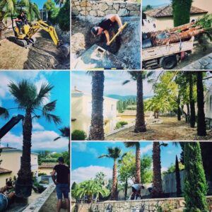 Entreprise GARDEN ELAGUE Grasse - Tony PORTELLI Elagueur Abattage Arbres Palmiers Oliviers Jardinier Paysagiste Aménagement à Grasse 06130 Evacue tous les déchets. Camion et broyeur Disponible.
